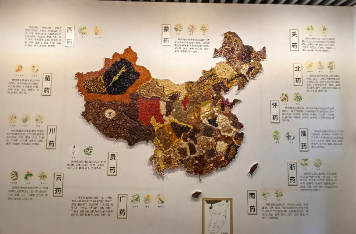 布隆迪大学图书馆建成传统医学数字博物馆 三维复刻千年草药图谱